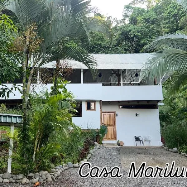 Entire home plus pool between Cahuita and Puerto Viejo Excellent Location, hotel en Puerto Viejo