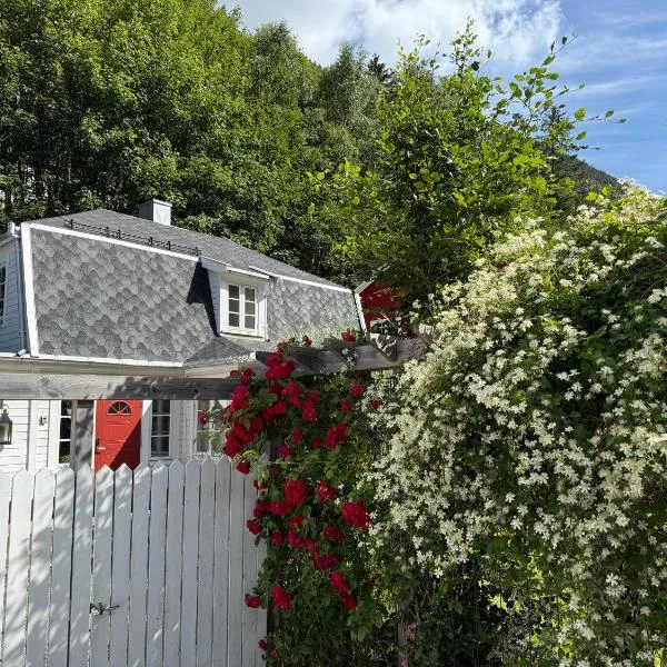 Villa Rjukan, ξενοδοχείο σε Rjukan