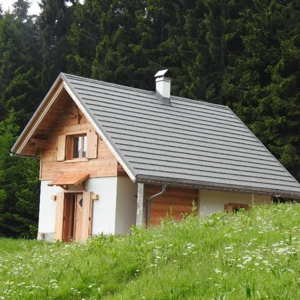 Arnika Hütte - un'immersione nelle montagne della foresta millenaria，位于Ugovizza的酒店