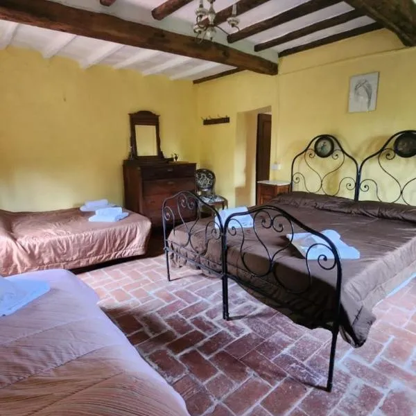 Casa Alfonsina, hotel a Veccialone