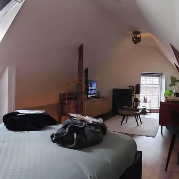 Wellness B&B Hartje Coevorden, hotel v destinaci Coevorden