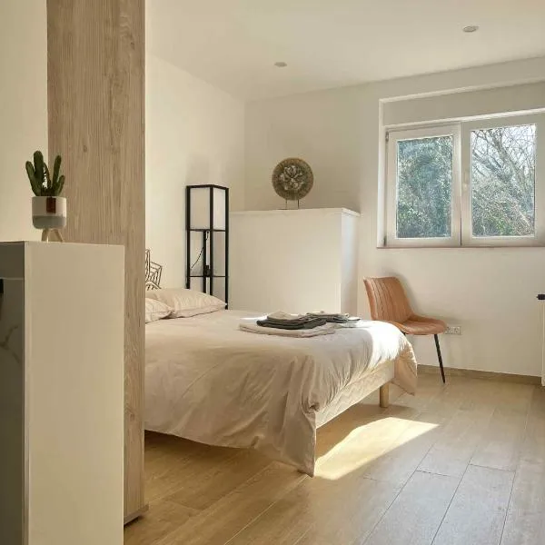 Oasis & Charme au Cœur Ville，位于Audun-le-Tiche的酒店