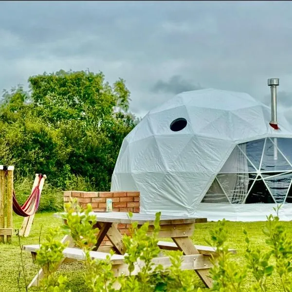 Alpaca Geo Dome, hotel in Llanstadwell