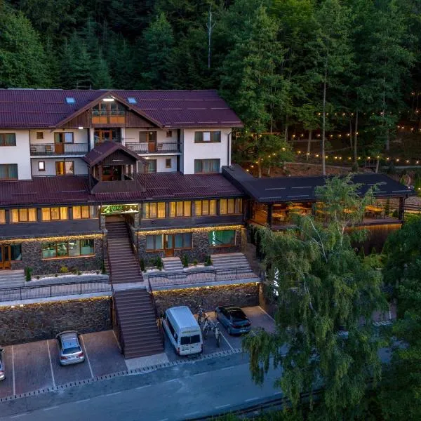 Pensiunea Ayana, hotel in Petroşani