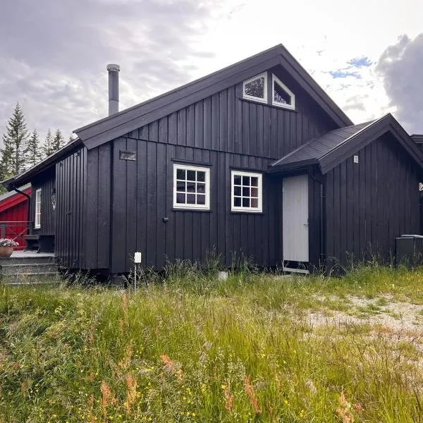 Hytte på Norefjell，Surteberg的飯店