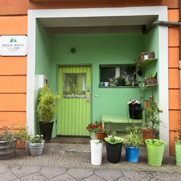 Pension Frosch Hostel，位于柏林的酒店