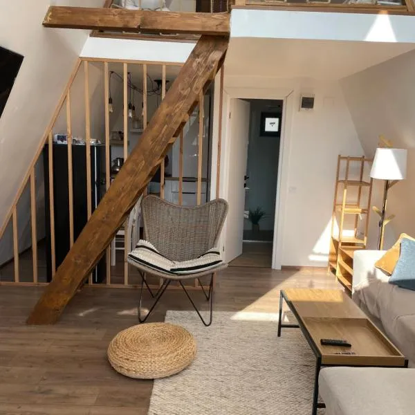 VictoriA-Frame, ξενοδοχείο σε Nucşoara