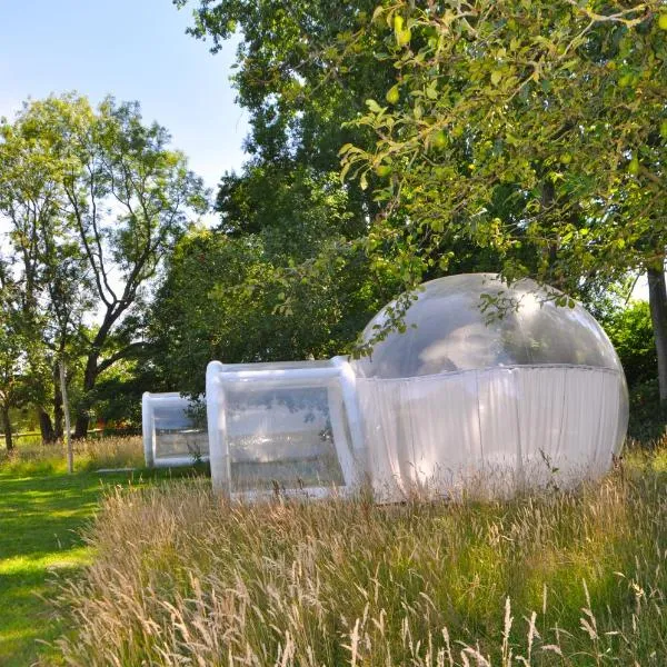 Noortweghe GLAMPING, hotell sihtkohas Zedelgem