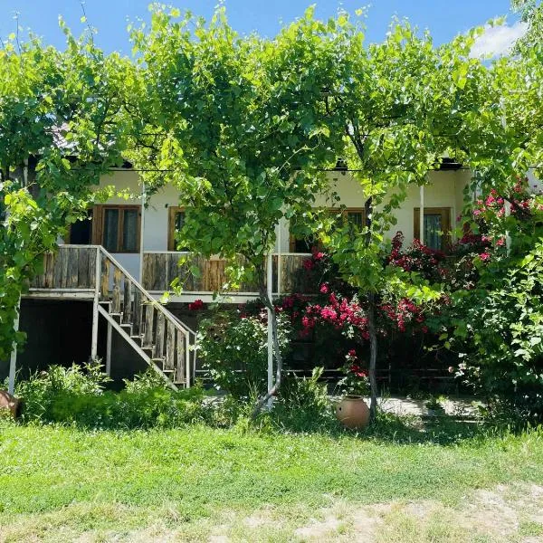 Guest House Aleksandre, hotel in T'mogvi