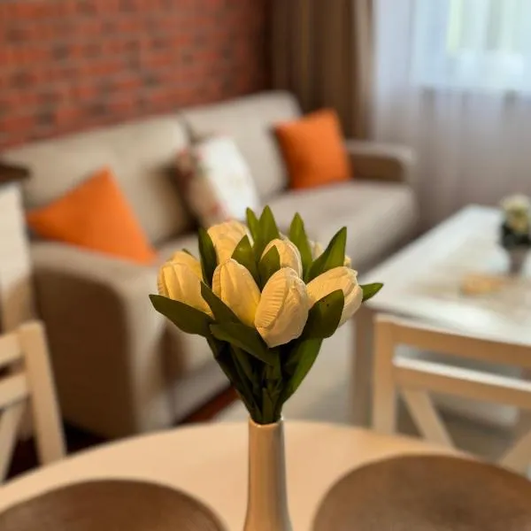 A&M Apartments - apartment Prostejovska, hotel in Prešov