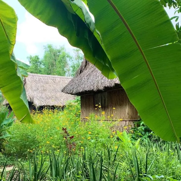 Saigon Garden Homestay, hotel v Ho Či Minově městě