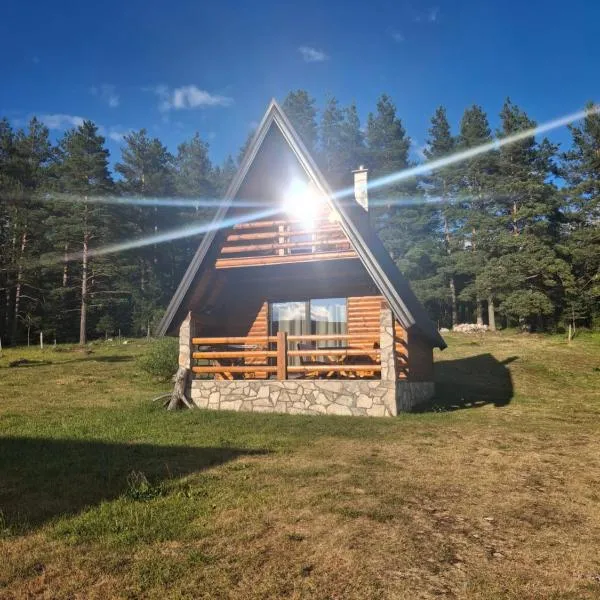Vila Dajana Zminica, hotell i Žabljak