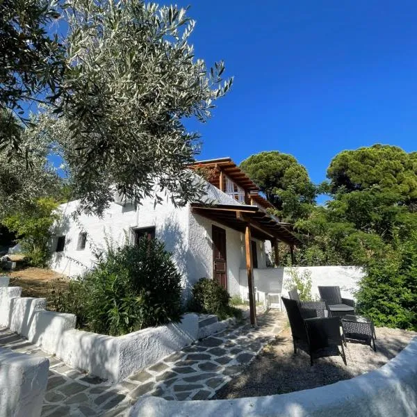 Rastoni Apartments Skiathos, ξενοδοχείο στον Τρούλο