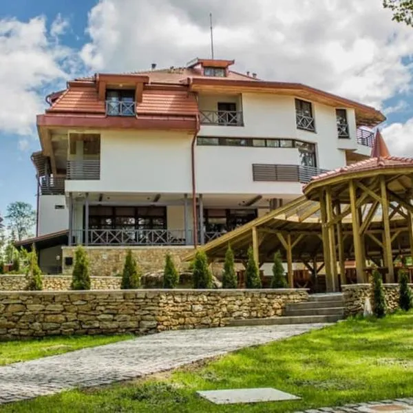 Pensiunea Favorit Ferice, hotel in Borsec
