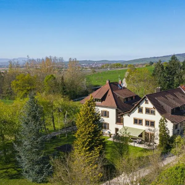 Gästehaus Kaltenbach, hotel in Staufen im Breisgau