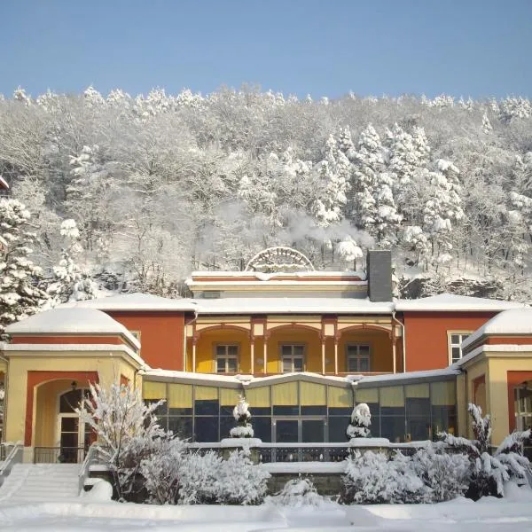 Parkhotel Bad Schandau mit SPA, hotel in Bad Schandau