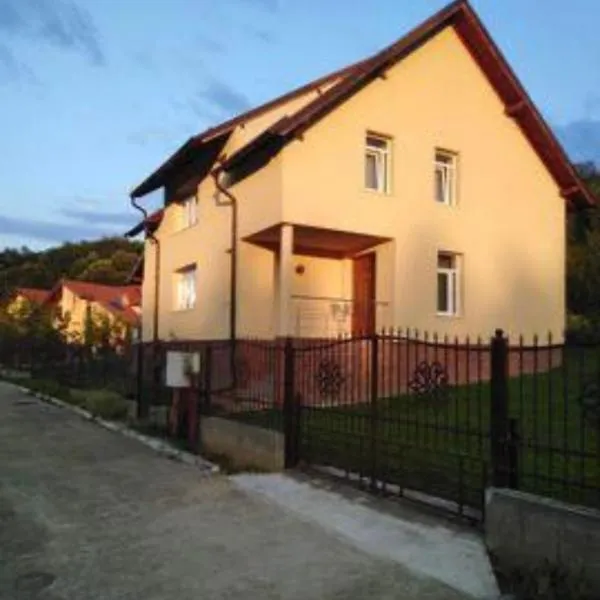 Vila Costea, hotel v destinaci Geoagiu Băi