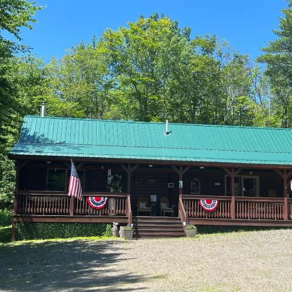 Mountain-Top-Hideaway Stay in a log cabin on a private rd! Swim, hike, explore a true mountain experience、North Blenheimのホテル