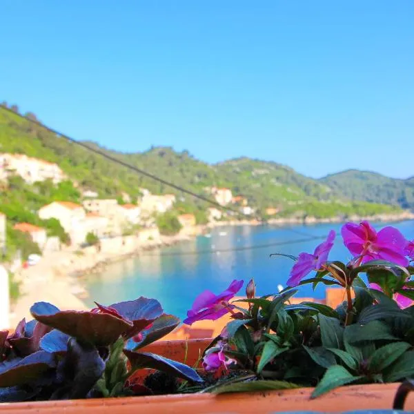 Apartment Mambo, hotel in Sobra