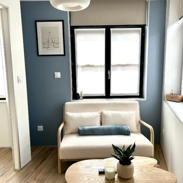 LILLEHOSTS 2, Vieux Lille, Newly renovated, Modern & Stylish apartment, perfectly located, hotel in Lille