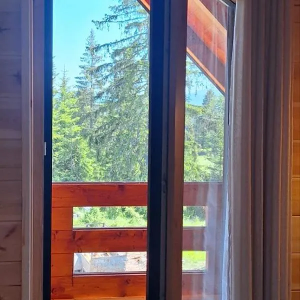 Vikendica Dunja, hotel en Žabljak