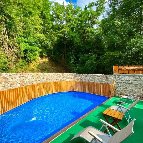 Relax Apartment Private pool, hotel v Sarajevu