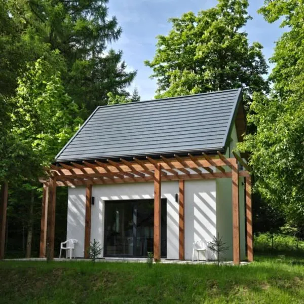 Fundacja Dom Pracy Twórczej PAU Zawoja, hotel di Zawoja
