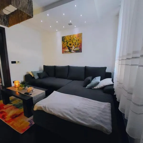Apartments Onyx, hotel in Sisak