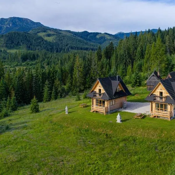 Niedźwiedź nad Chochołowską, ξενοδοχείο σε Witow