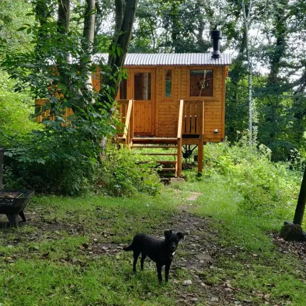 Peggy's Cabin in the Woods, hotel v destinaci Hebden Bridge