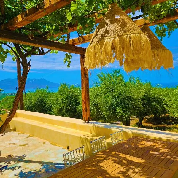 BROWN ON GREEN a stone house with amazing view, hôtel à Dhrapaniás