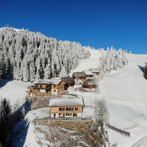 MoselebauerAlm, hotel v destinaci Klippitztorl