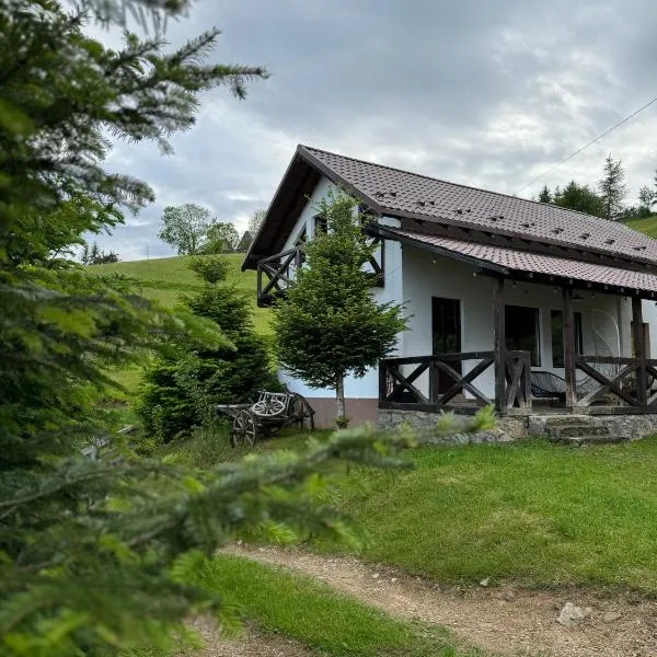 Panoramic House, hôtel à Mărişel