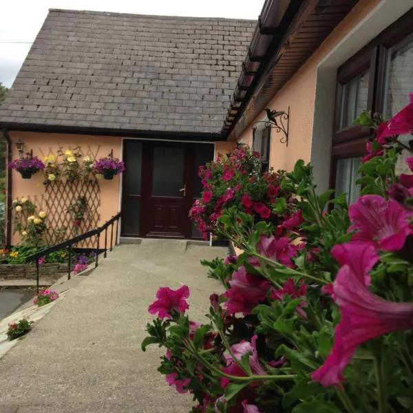 Eriu Lodge, hotel v destinaci Clifden