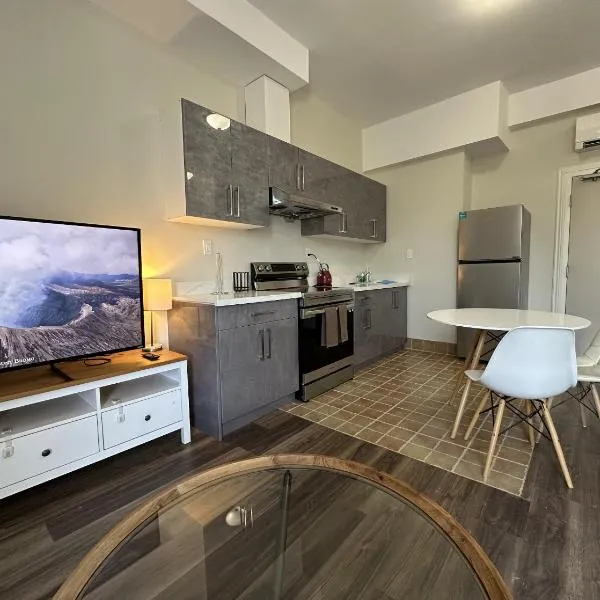 Furnished Simcoe Lofts, hotel in Oshawa