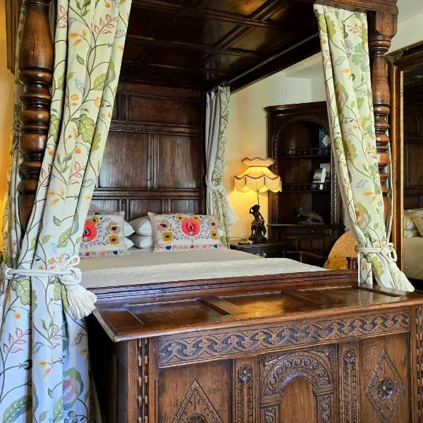 The Firecat Country House Guesthouse, ξενοδοχείο σε Mallwyd