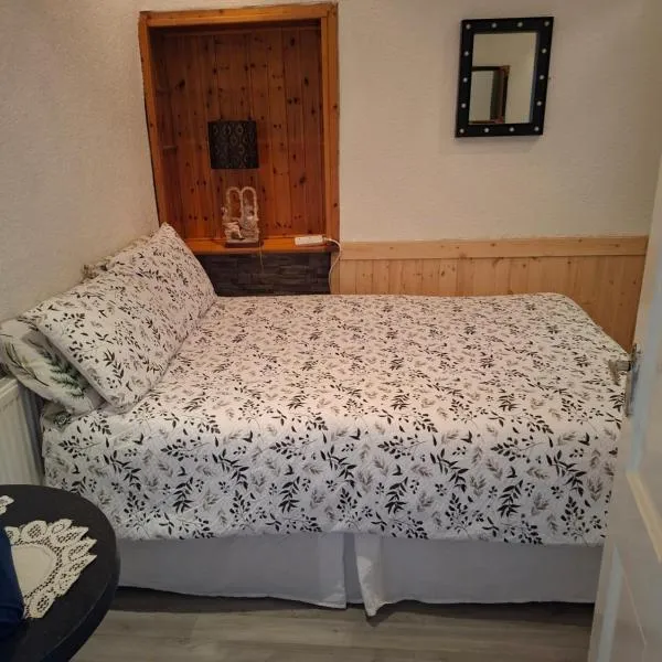 villa no 1, ξενοδοχείο σε Carrick-on-Suir