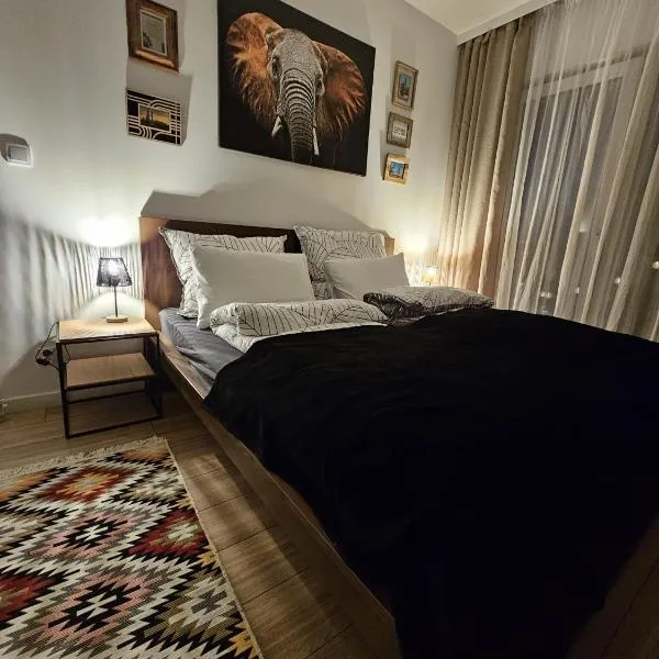 Czarny Słoń - elegancki apartament z klimatem, hotel en Częstochowa