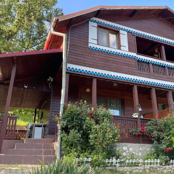 Casa Melania, hôtel à Eşelniţa