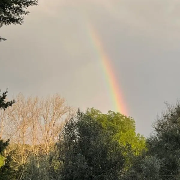 Yurt na magia do bosque、モンテモル・オ・ノボのホテル