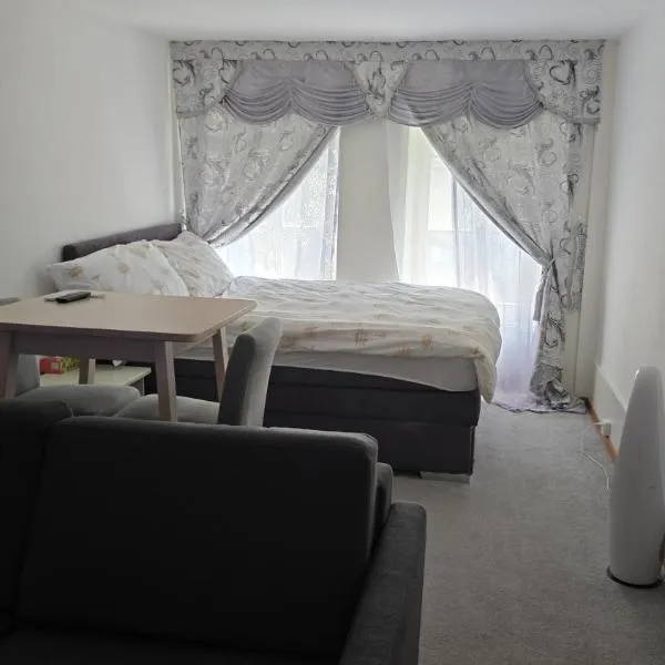 Real Swiss Classic Apartment & Up to 7 Seats Cars Rental Option，位于伯尔尼的酒店