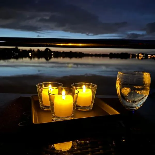 Hausboot KOMET Luxus und Natur pur max 5 Pers, ξενοδοχείο σε Maasbommel