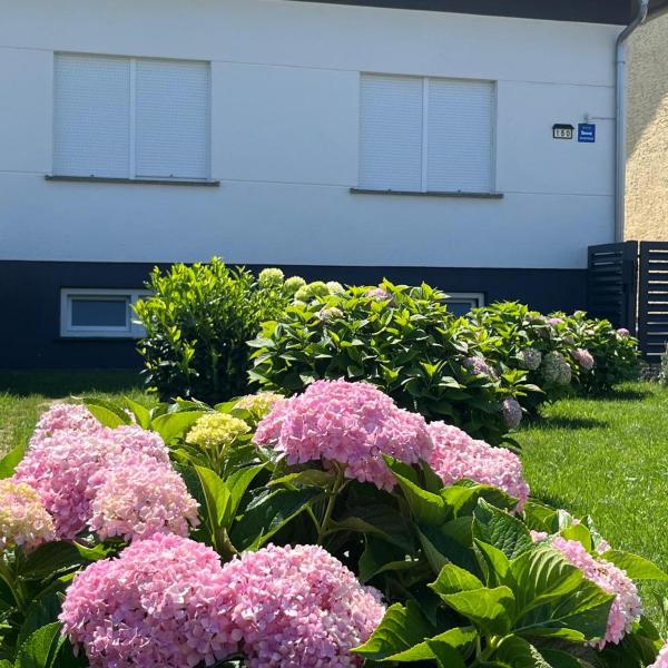 Apartman Kuća 150, Mala Subotica