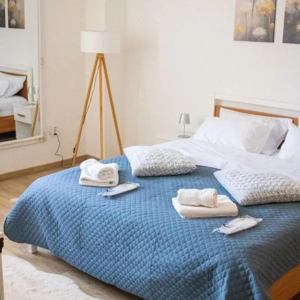 Apartman Viševac Vranje，位于弗拉涅的酒店