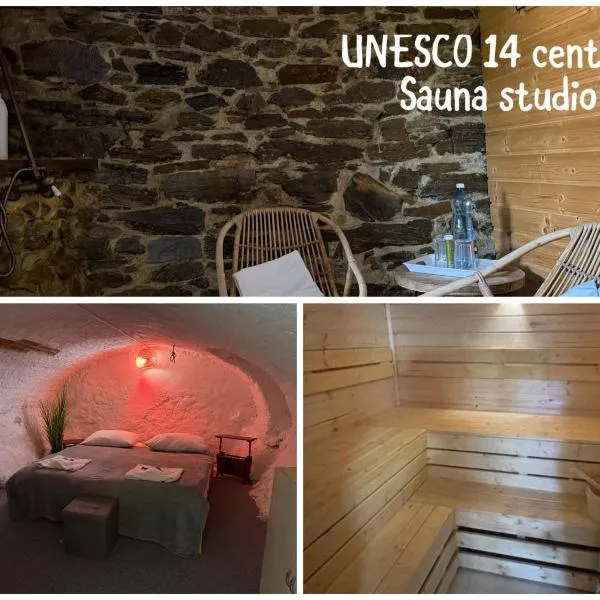 Sauna apartment UNESCO 14 century, ξενοδοχείο στο Τσέσκι Κρούμλοβ