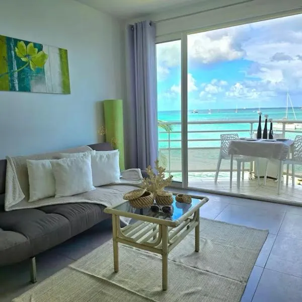 Studio vue mer à marigot St-martin，Marigot的飯店