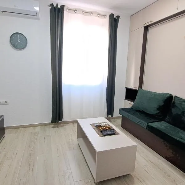Center Studio Apartment, hotel in Berane