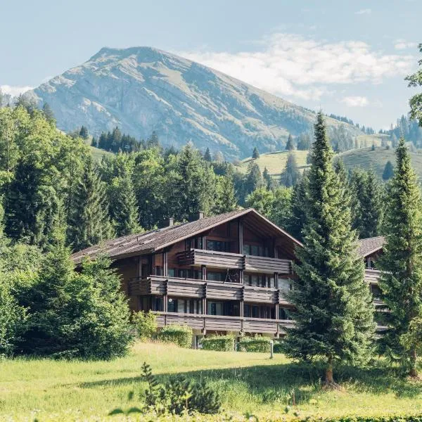 Wirie-Lodge in Diemtigen Ferienwohnung am Wiriehorn, hotel in Diemtigen