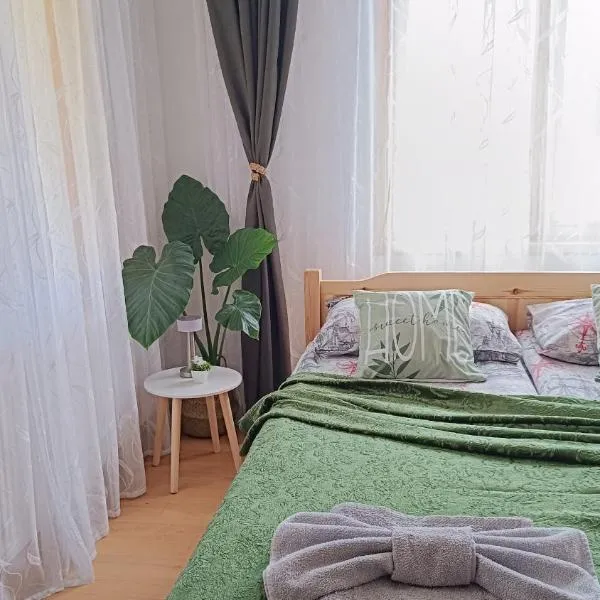 Родопско сърце, hotel en Chepelare