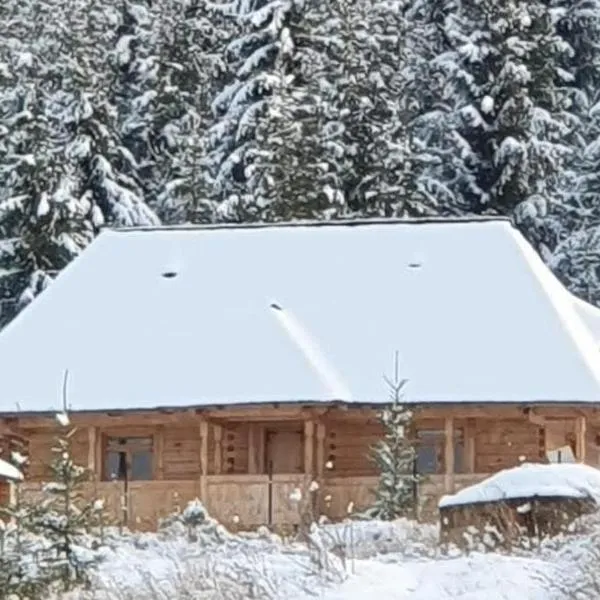 Poiana cu Sinziene, hotell sihtkohas Neagra Şarului
